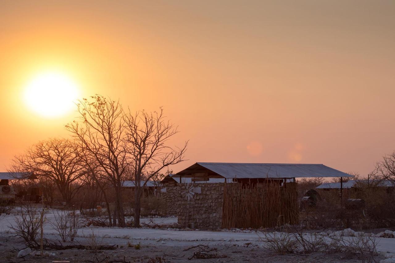 Etosha Trading Post Campsite Okaukuejo Buitenkant foto